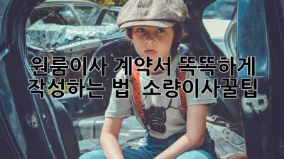 원룸이사 계약서 똑똑하게 작성하는 법 🧐 #소량이사꿀팁