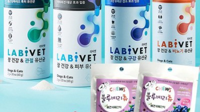 라비벳 후기: 솔직한 사용 후기와 꿀팁 대방출! ✨