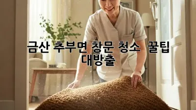 ✨ 금산 추부면 창문 청소, 💎 꿀팁 대방출! 🏡